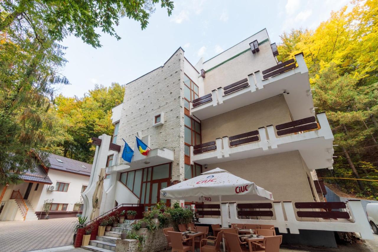 Former Ceausescu'S Vila Crizantema Baile Govora Exterior photo